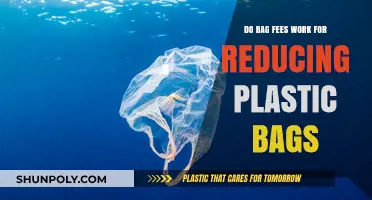 Bag Fees: Effective Solution to Reduce Plastic Bag Usage?