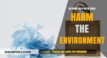 Plastic Bag Bans: Environmental Friend or Foe?