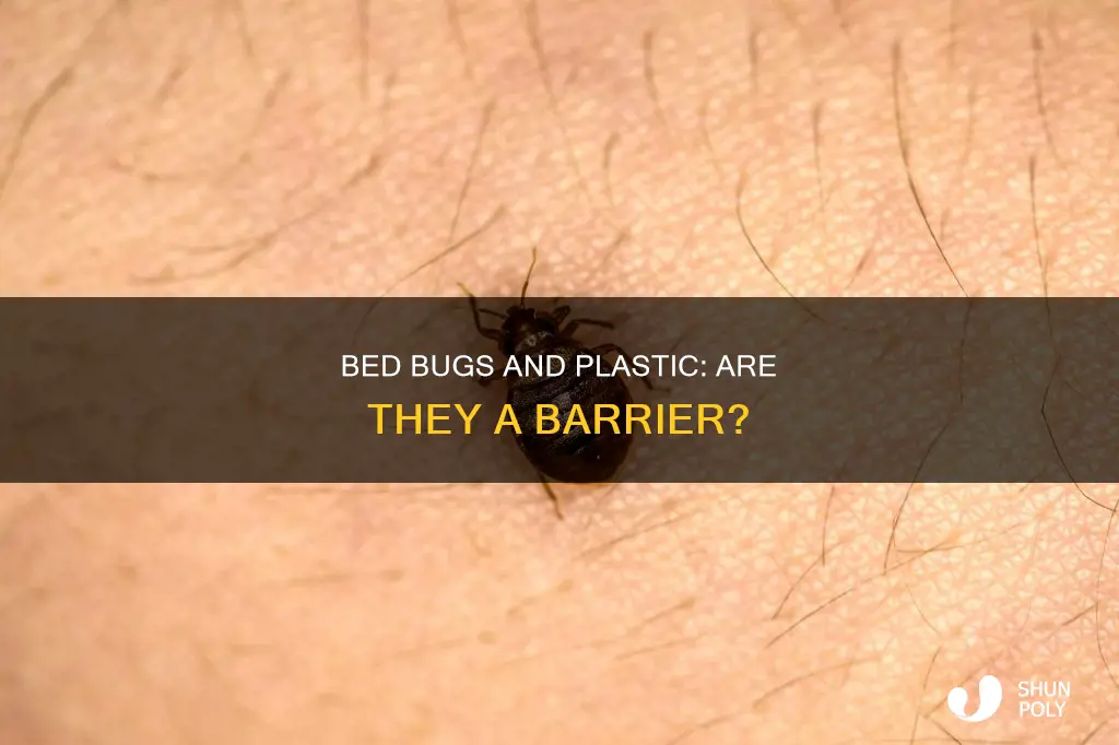 do bed bugs bite through plastic