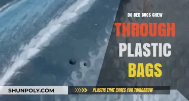 Bed Bugs and Plastic Bags: What's the Deal?