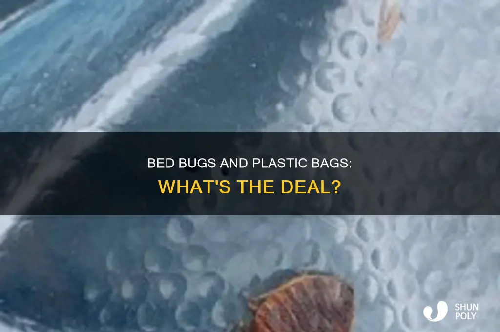 do bed bugs chew through plastic bags