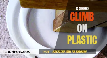 Bed Bugs and Plastic: Can They Climb?