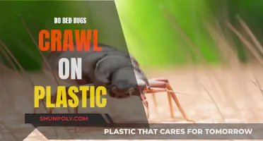 Bed Bugs and Plastic: Can They Traverse?