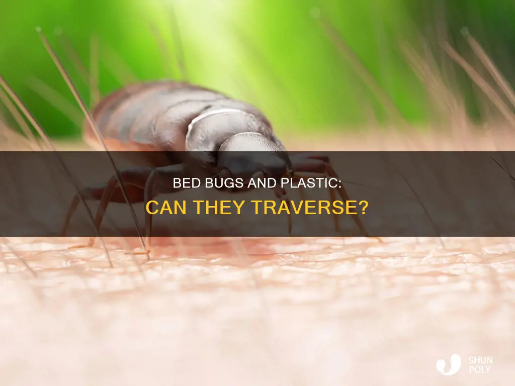 do bed bugs crawl on plastic