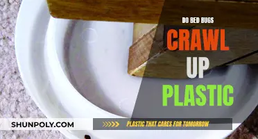 Bed Bugs and Plastic: Can They Traverse This Material?