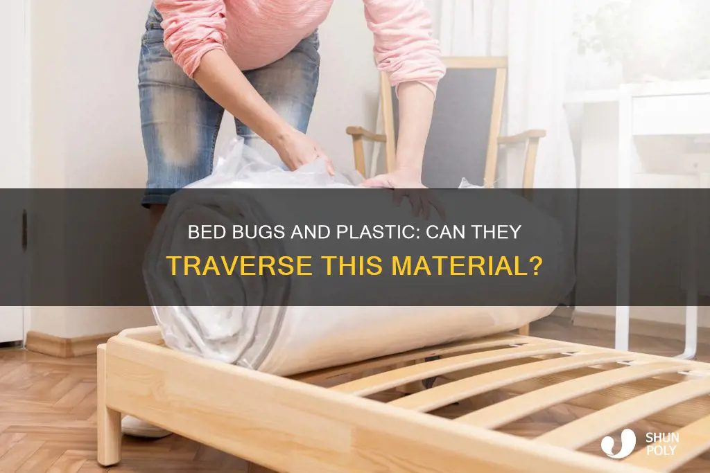 do bed bugs crawl up plastic