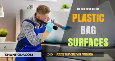 Bed Bugs and Plastic Bags: What's the Deal?