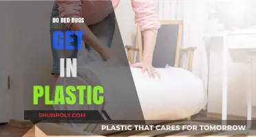 Can Bed Bugs Infest Plastic Items? Facts and Prevention Tips