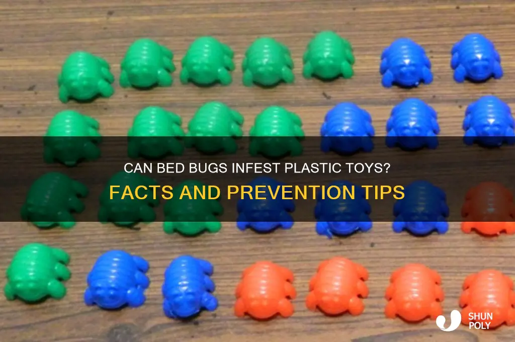 do bed bugs get on plastic toys