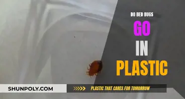 Bed Bugs and Plastic: A Safe Haven?