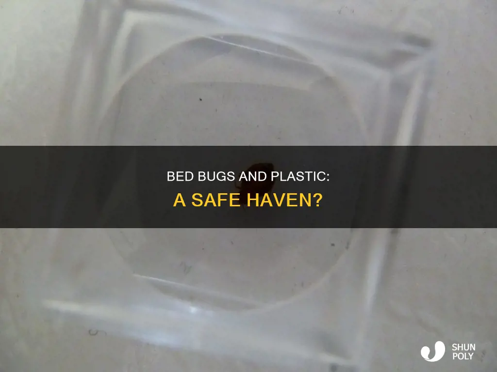 do bed bugs go in plastic