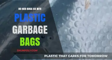 Bed Bugs and Plastic Bags: Can They Invade?