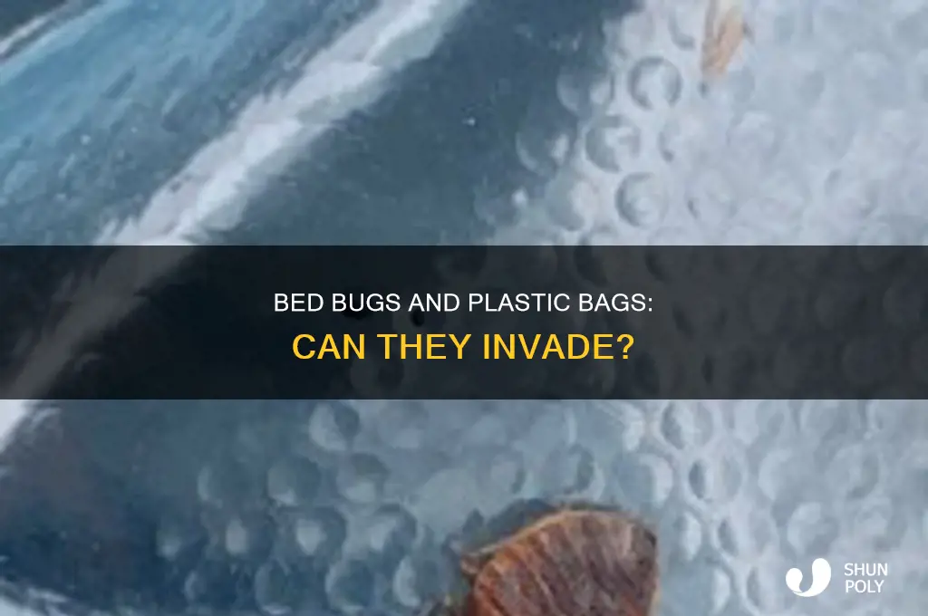 do bed bugs go into plastic garbage bags