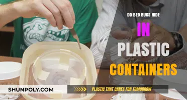 Bed Bugs and Plastic Containers: A Safe Haven?