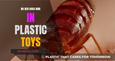Bed Bugs and Plastic Toys: What's the Risk?
