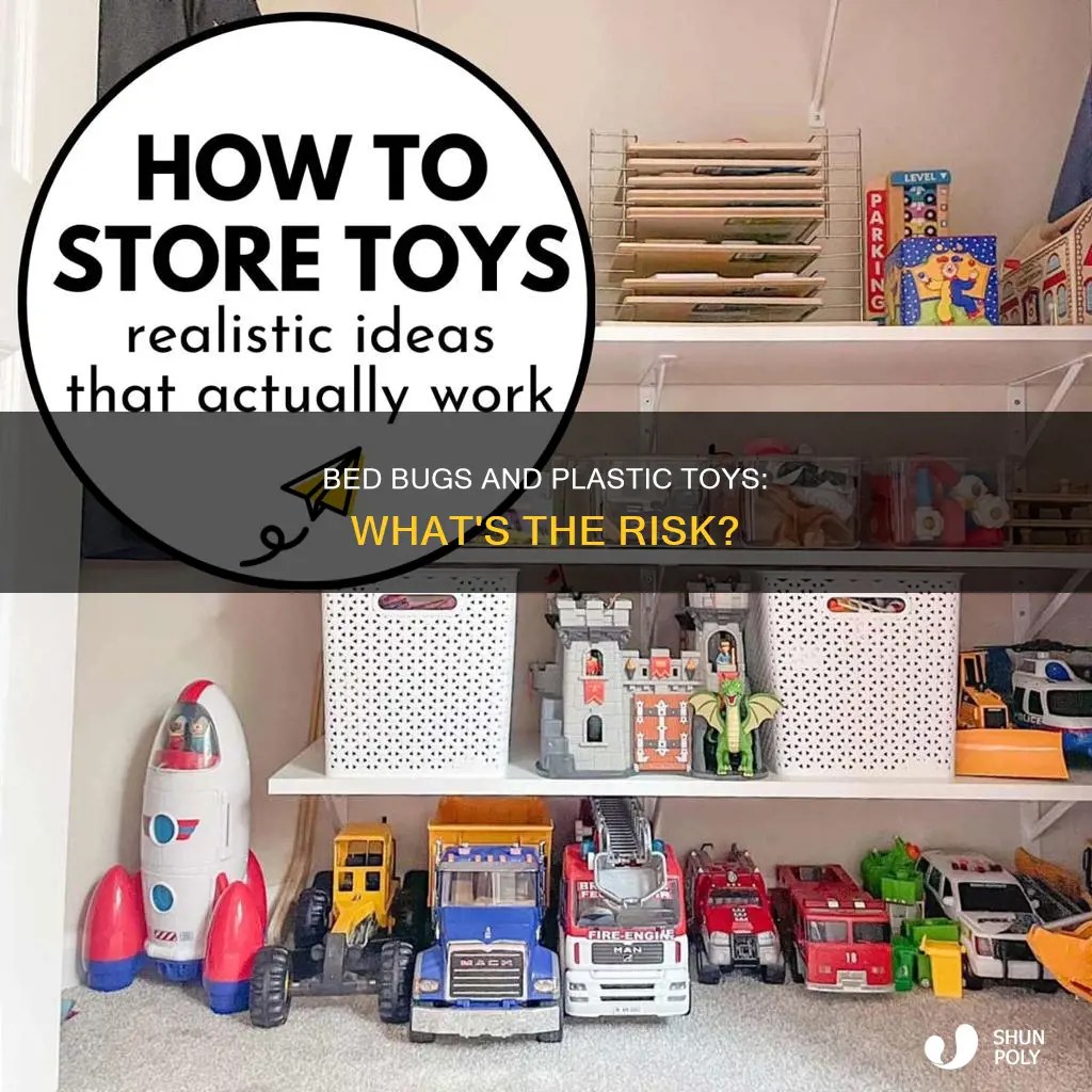 do bed bugs hide in plastic toys