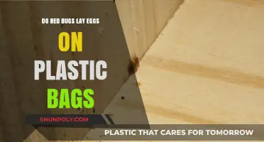 Do Bed Bugs Lay Eggs on Plastic Bags? Facts Revealed