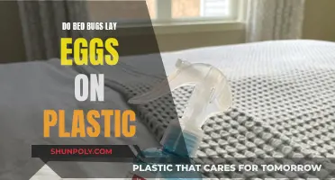 Bed Bugs and Plastic: Egg-Laying Preferences