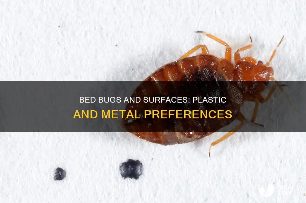 do bed bugs like plastic and metal