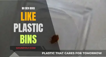 Bed Bugs and Plastic Bins: A Safe Haven?
