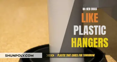 Bed Bugs and Plastic Hangers: What's the Deal?