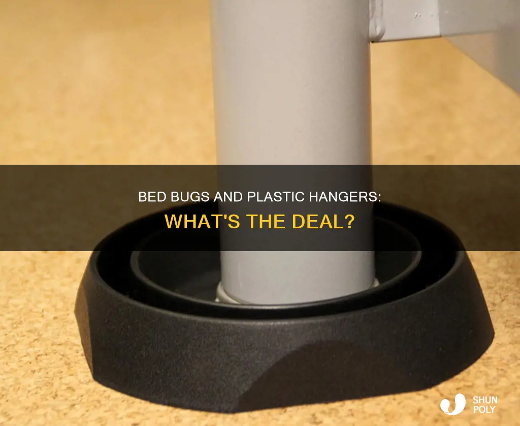 do bed bugs like plastic hangers