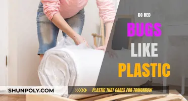 Unveiling the Truth: Do Bed Bugs Really Like Plastic?