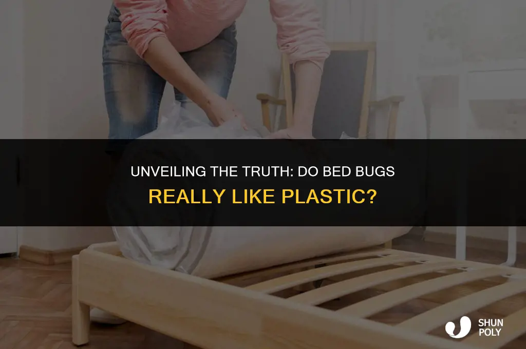 do bed bugs like plastic
