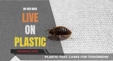 Bed Bugs and Plastic: A Safe Haven?