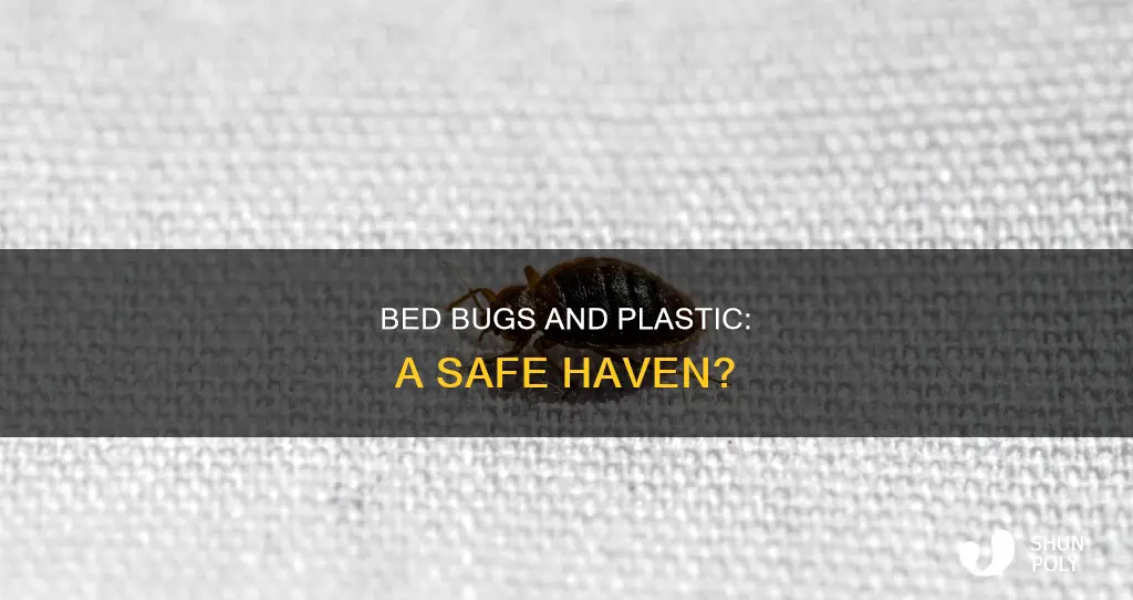 do bed bugs live on plastic