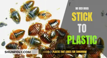 Bed Bugs and Plastic: Friends or Foes?