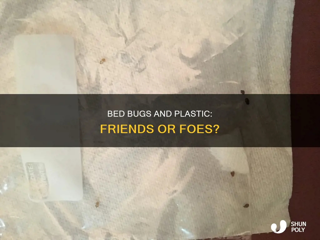 do bed bugs stick to plastic