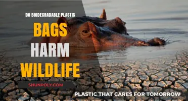 Biodegradable Plastic Bags: Are They Safe for Wildlife?