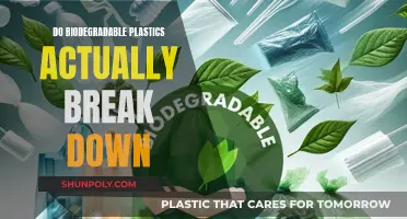 Biodegradable Plastics: Do They Actually Decompose?