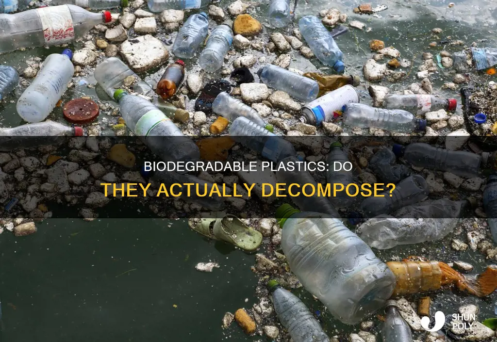 do biodegradable plastics actually break down