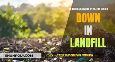 Biodegradable Plastics: Landfill Breakdown or Environmental Misconception?