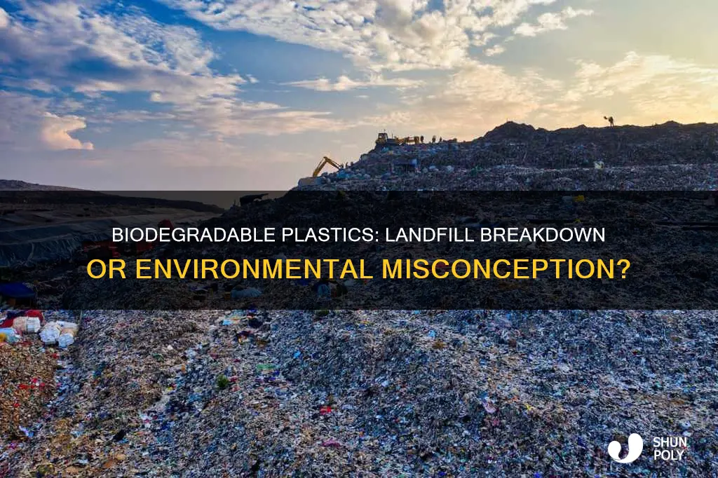 do biodegradable plastics break down in landfill