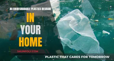 Biodegradable Plastics: Home Degradation Mystery Unveiled