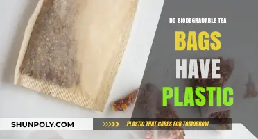 Are Biodegradable Tea Bags Plastic-Free? Uncovering the Truth
