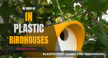 Plastic Birdhouses: Do Birds Actually Move In?