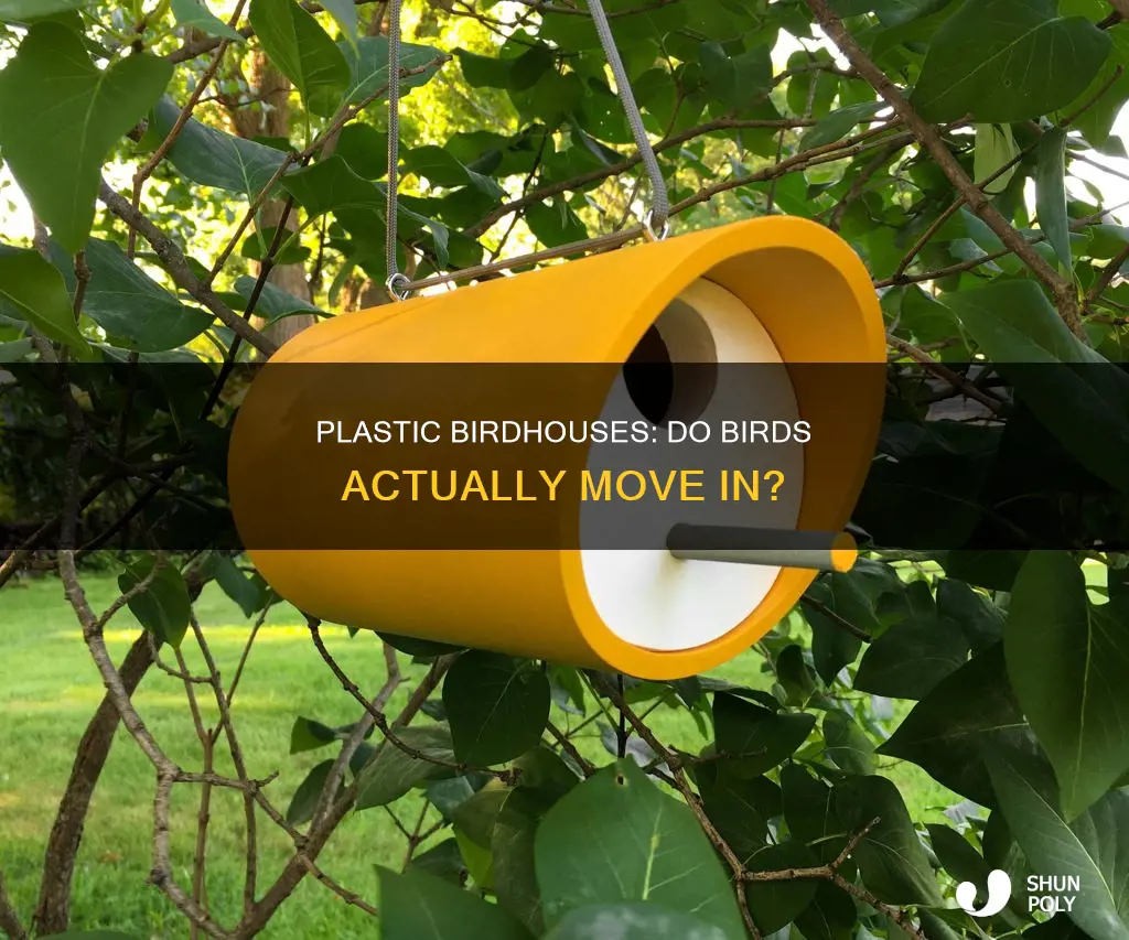 do birds go in plastic birdhouses