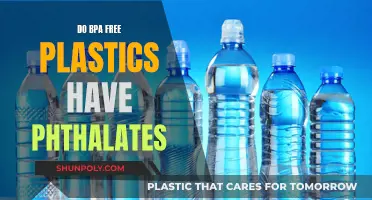 BPA-Free Plastics: Are Phthalates Still a Concern?