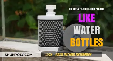 Brita Filters vs. Plastic Leach: Are They Safer Than Bottles?