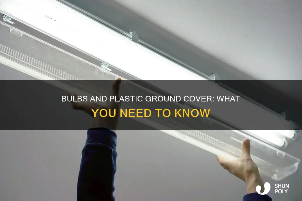 do bulbs come through plastic ground cover