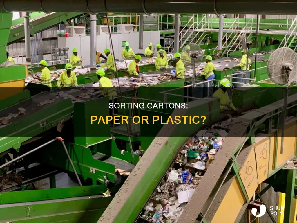 do cartons go in paper or plastic