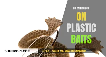 Catfish Bite on Plastic Baits: What You Need to Know