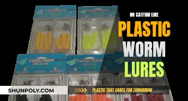 Catfish and Plastic Worms: A Match?