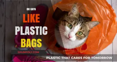 Why Cats Love Plastic Bags: Unraveling Their Fascination and Risks