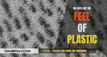 Plastic Sensations: What Cats Really Feel