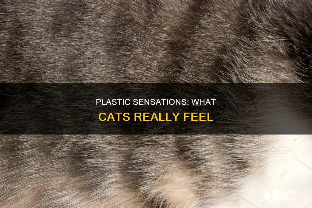 do cats like the feel of plastic